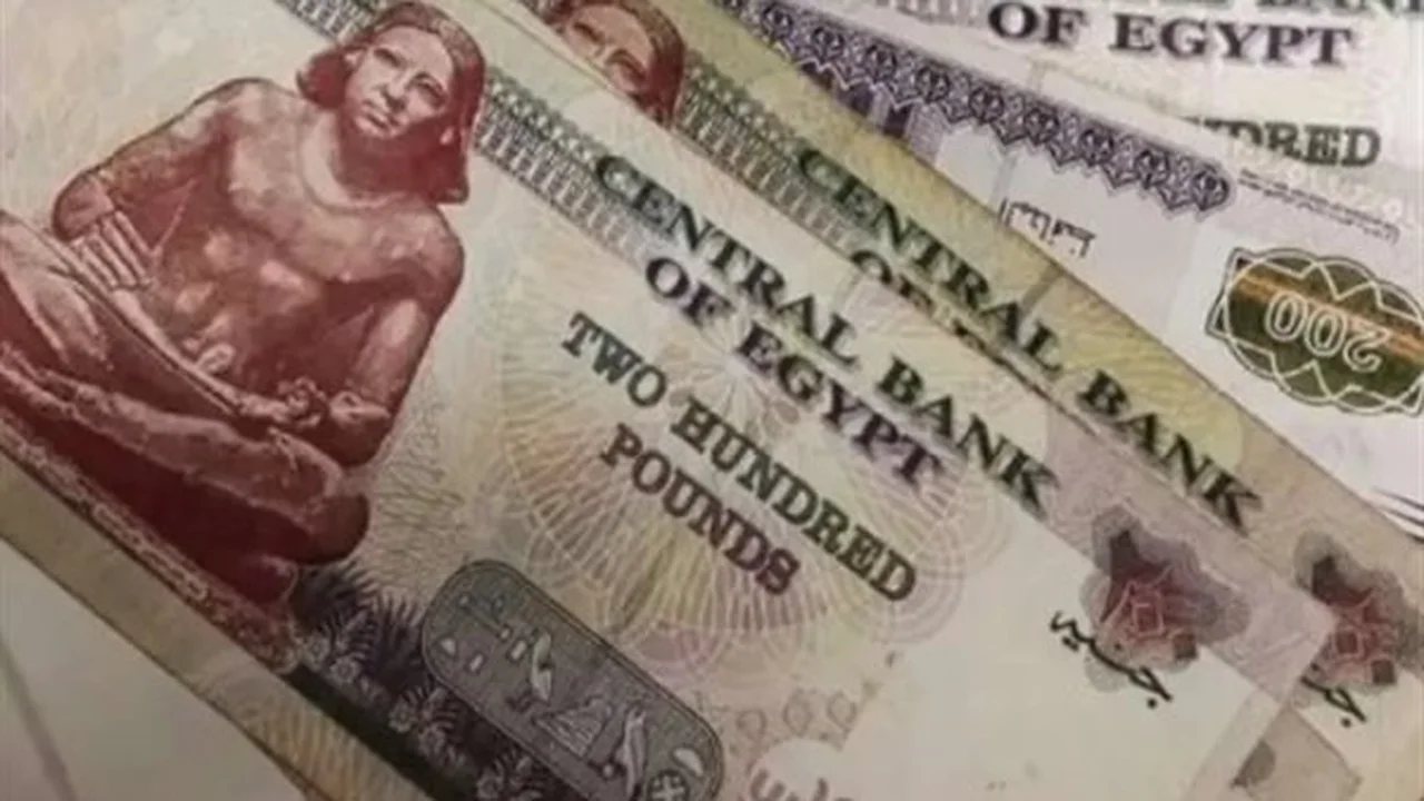 800 جنيه تنتظرك.. خطوات الحصول على البطاقة التموينية 2026